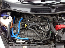 Fiesta ST Oil Catch Can kit