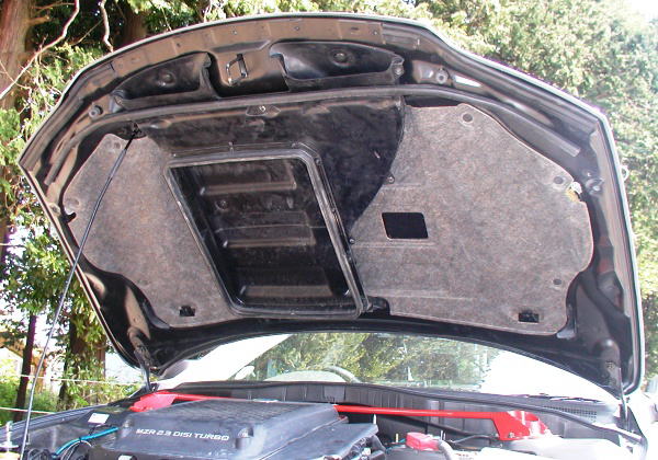 06-07 Mazdaspeed 6 DUCKS-GARDEN Vented Hood