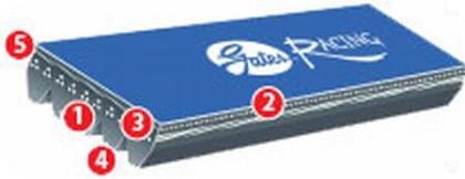 92-97 Subaru Alcyone SVX Gates Racing Performance Micro-V Alt & PS Belt