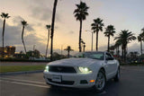 AlphaRex Luxx-Series LED Heads: Ford Mustang (10-14) - Chrome (Set)