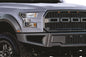 Bi-Xenon: 15-17 F150 Kit