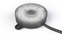 Load image into Gallery viewer, Rock Light: Profile Pixel (White)