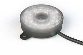 Rock Light: Profile Pixel (White)