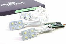 Load image into Gallery viewer, Profile Pivot SS Chip Kit (8 pc)