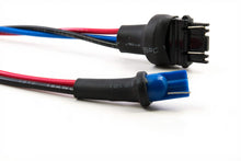 Load image into Gallery viewer, Pigtail: T10 Male